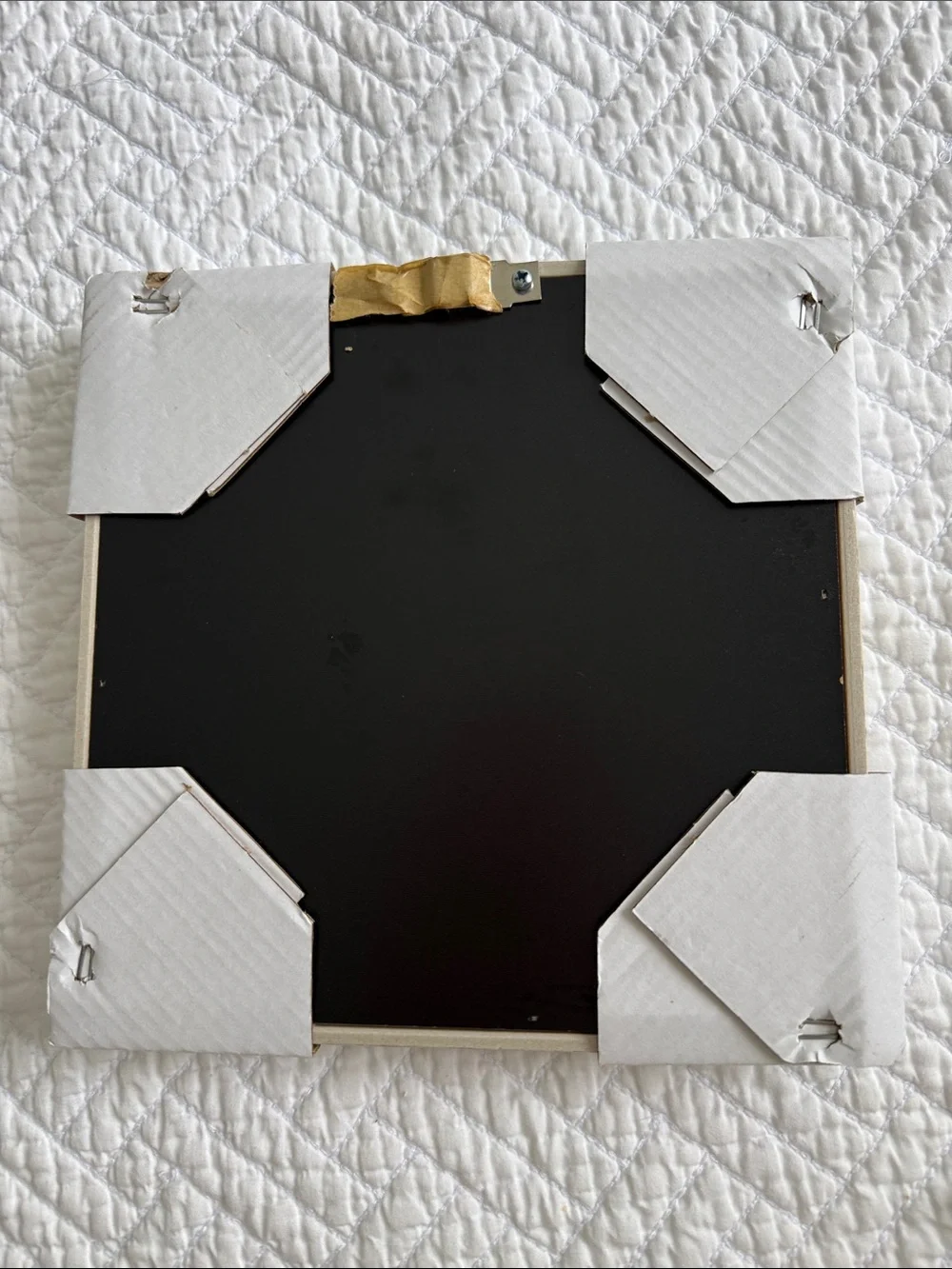 Nature  “Shadow Box “Ceramic Succulent Wall Art - White